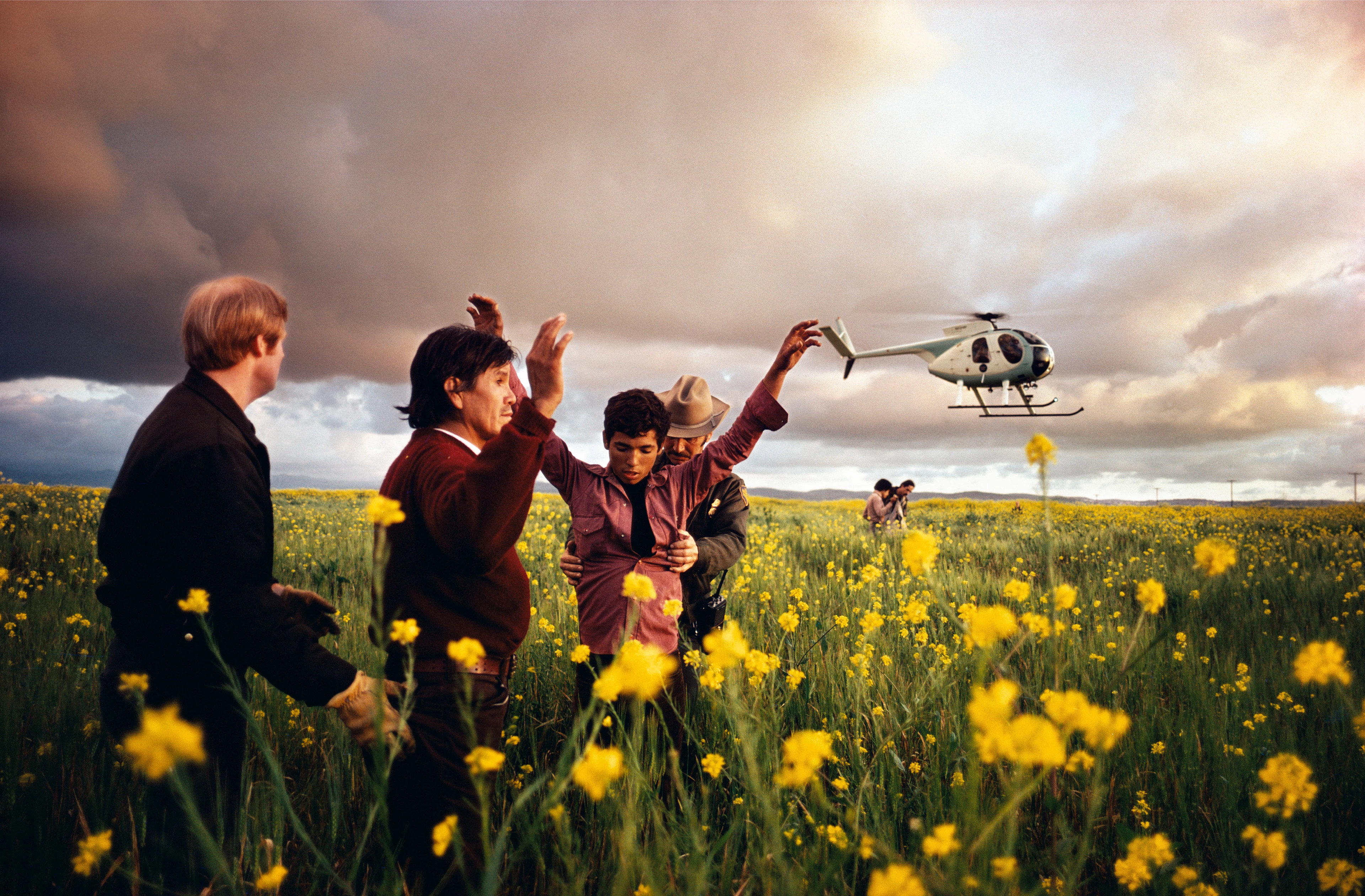 In a green field with yellow flowers, a Mexican is arrested while a helicopter flies in the background