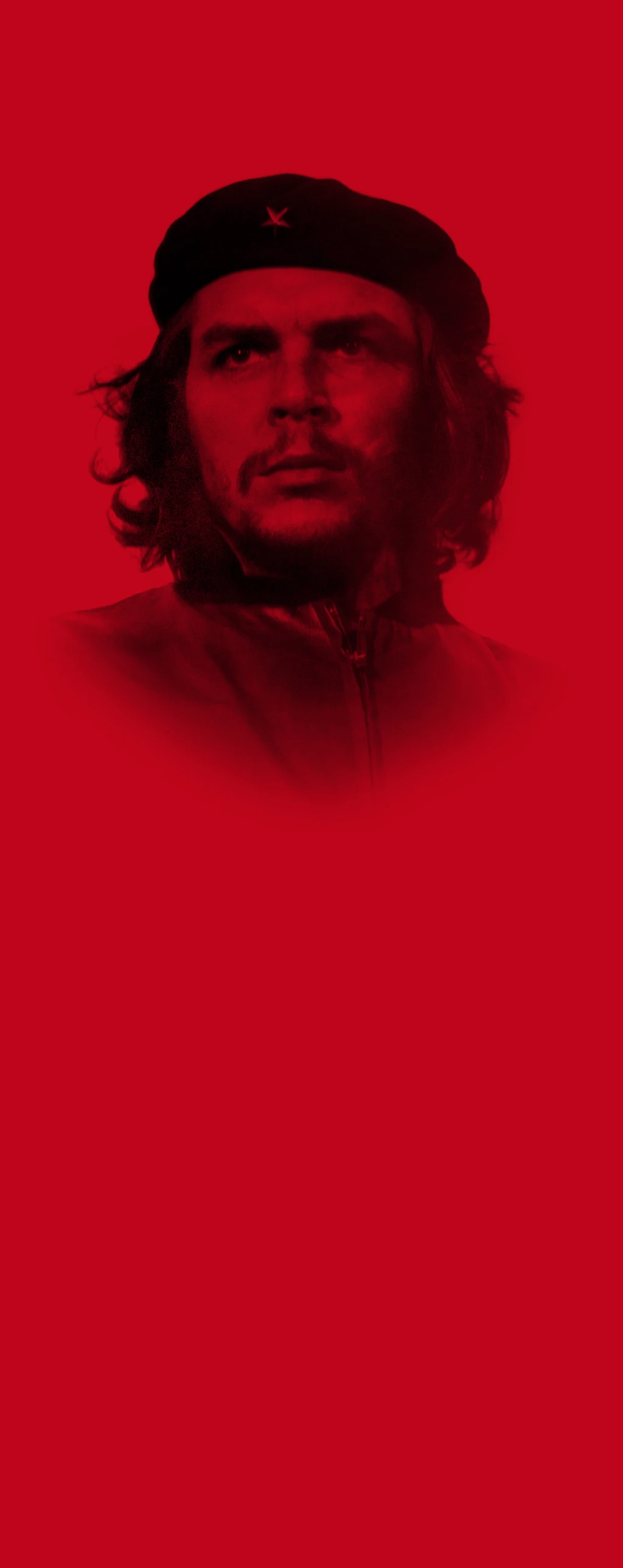 Stylised portrait of Che Guevara