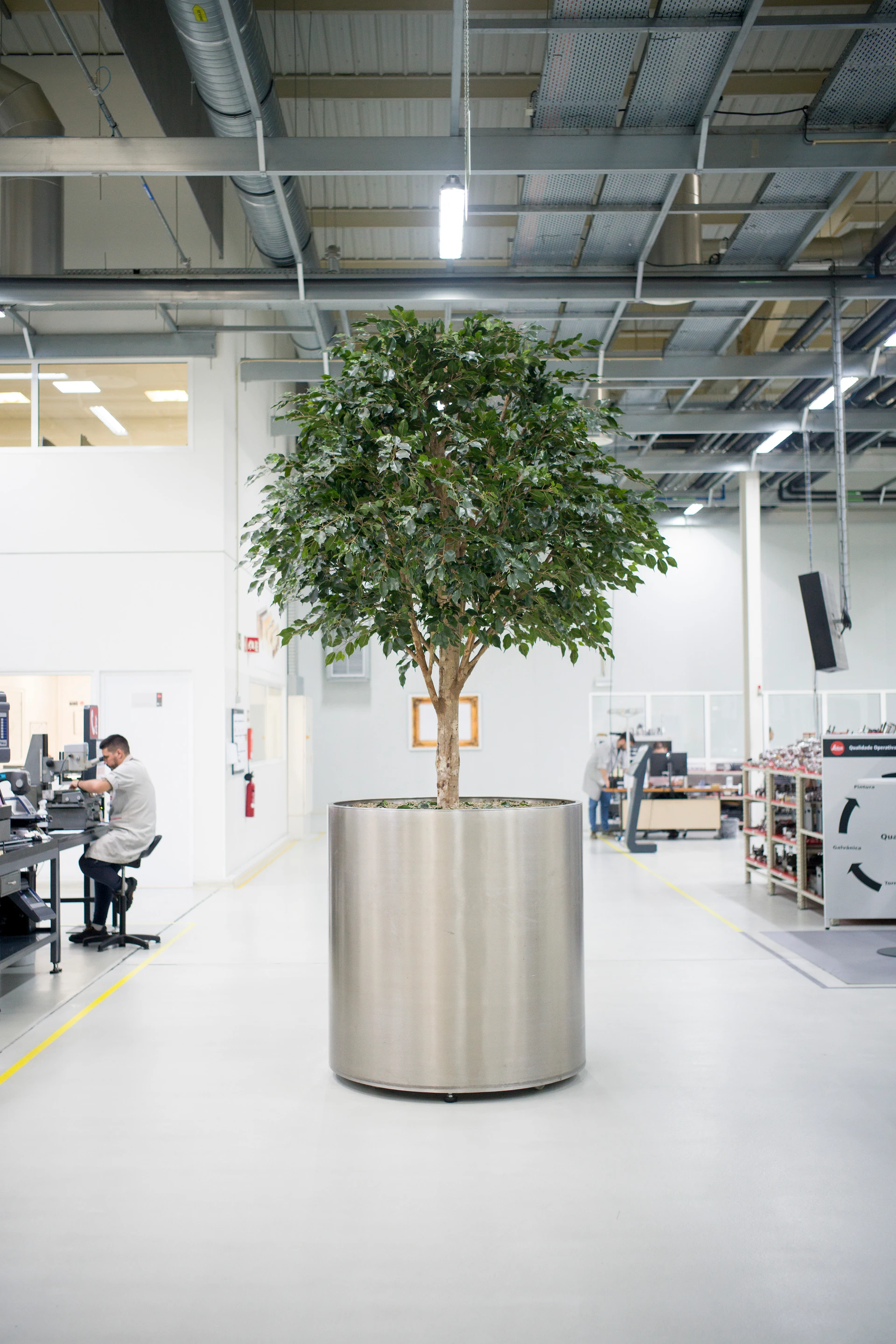 Eine riesige Zimmerpflanze in einem Edelstahl­pflanzkübel steht zentral in einer hellen Fertigungshalle; im Hintergrund arbeiten mehrere Personen an verschiedenen Stationen.