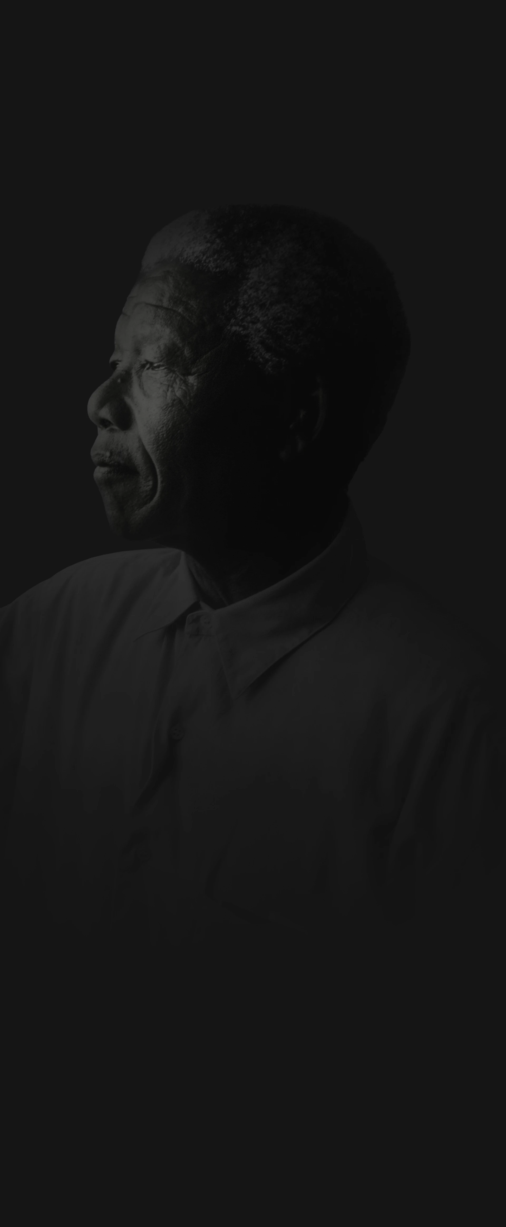 Ritratto stilizzato di Nelson Mandela