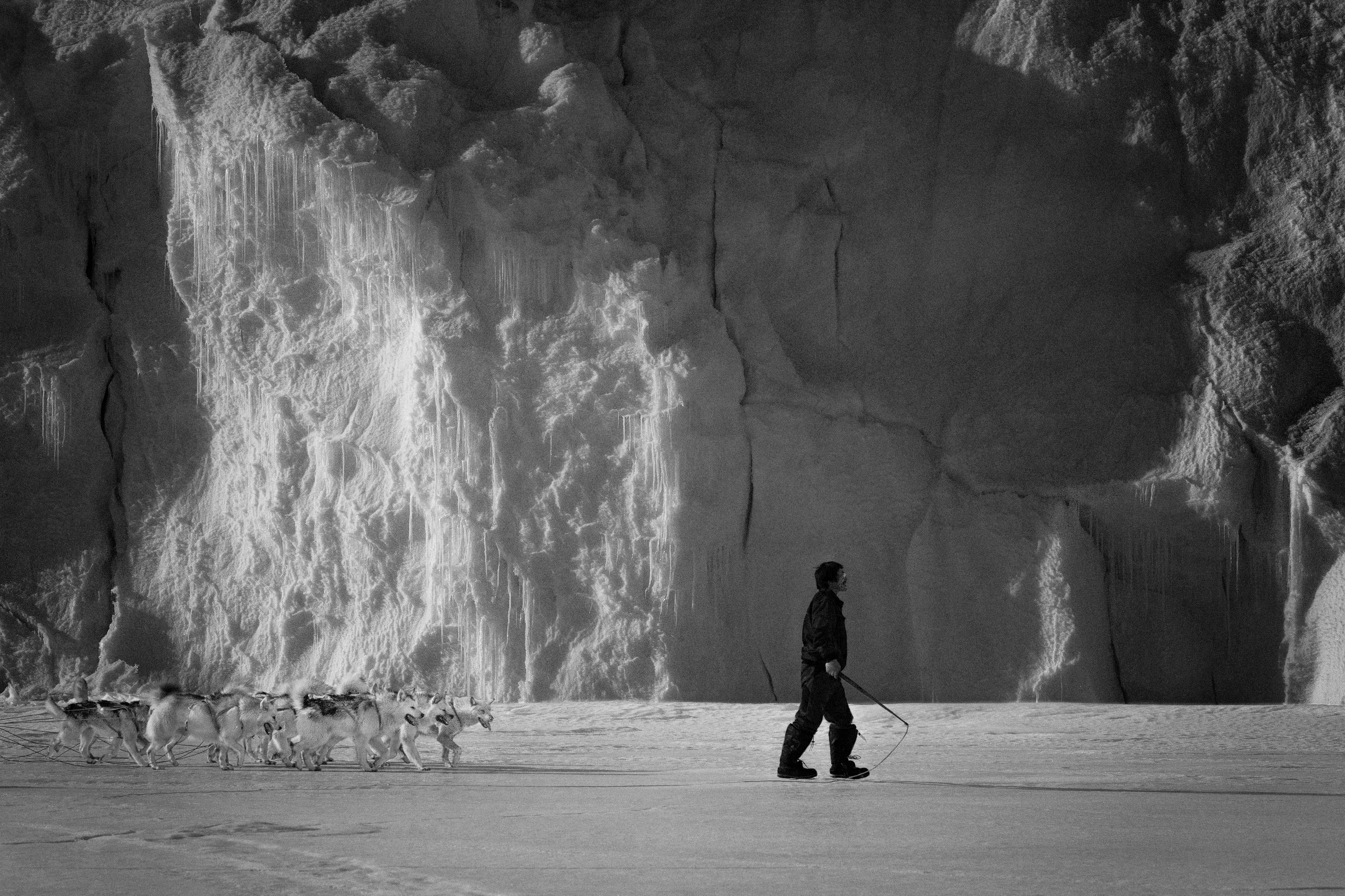 Monumentales Schwarz-Weiß-Bild eines Hundeschlittenführers der vor seinen Huskies über den Schnee läuft, hinter ihm eine brüchige Eiswand.