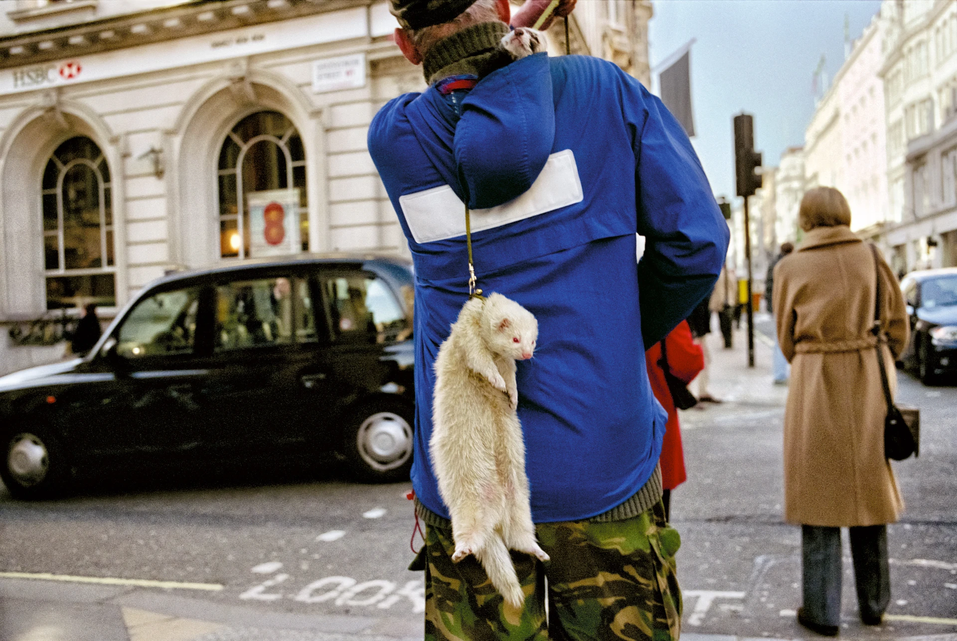 A man in a blue hooded jacket is photographed from behind on a London street. An albino ferret hangs down his back on a lead while a second ferret sits in his hood.