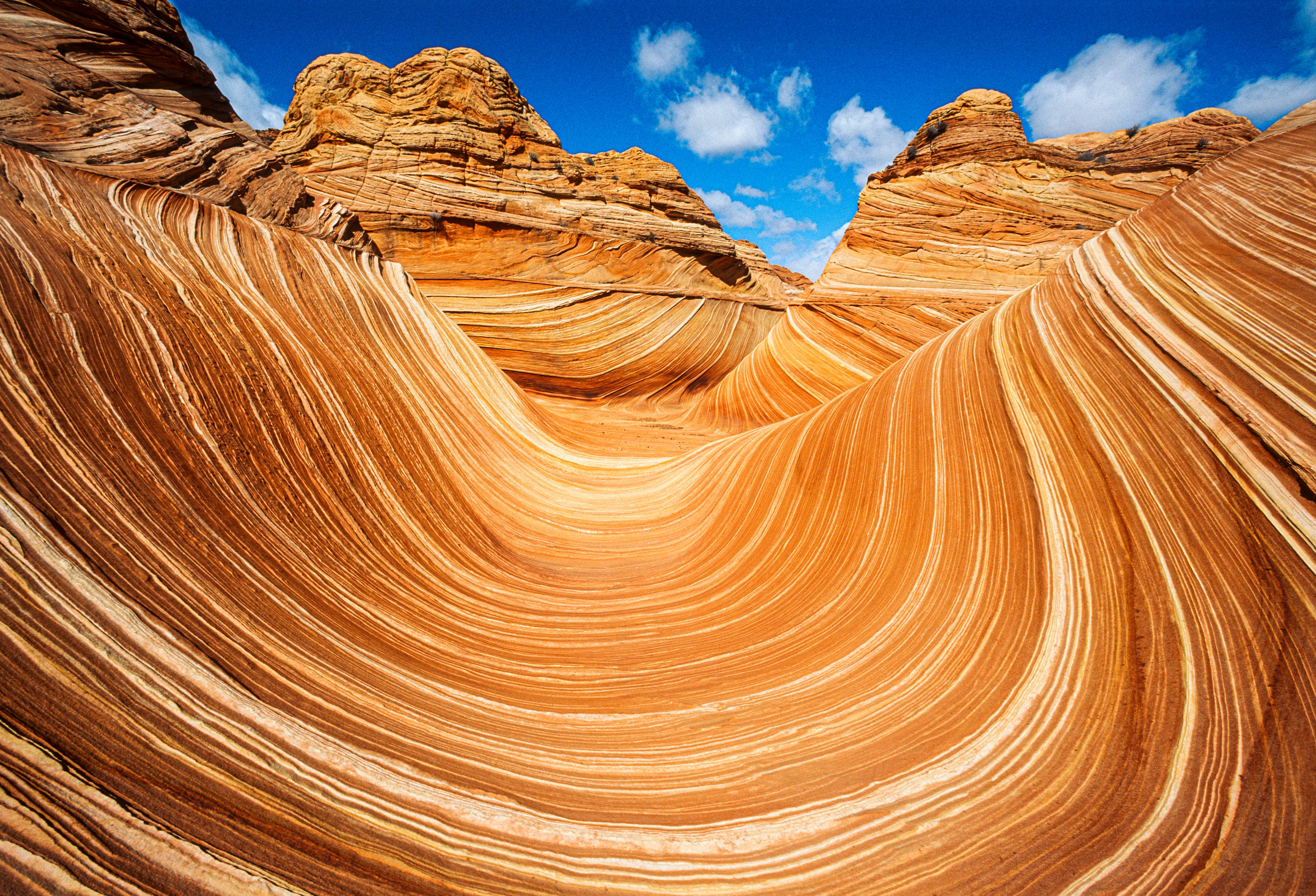Formazione di arenaria in Arizona, con sinuose linee delle rocce di colore bianco e arancione, che scorrono come onde attraverso il paesaggio, sotto un cielo blu con qualche nuvola.