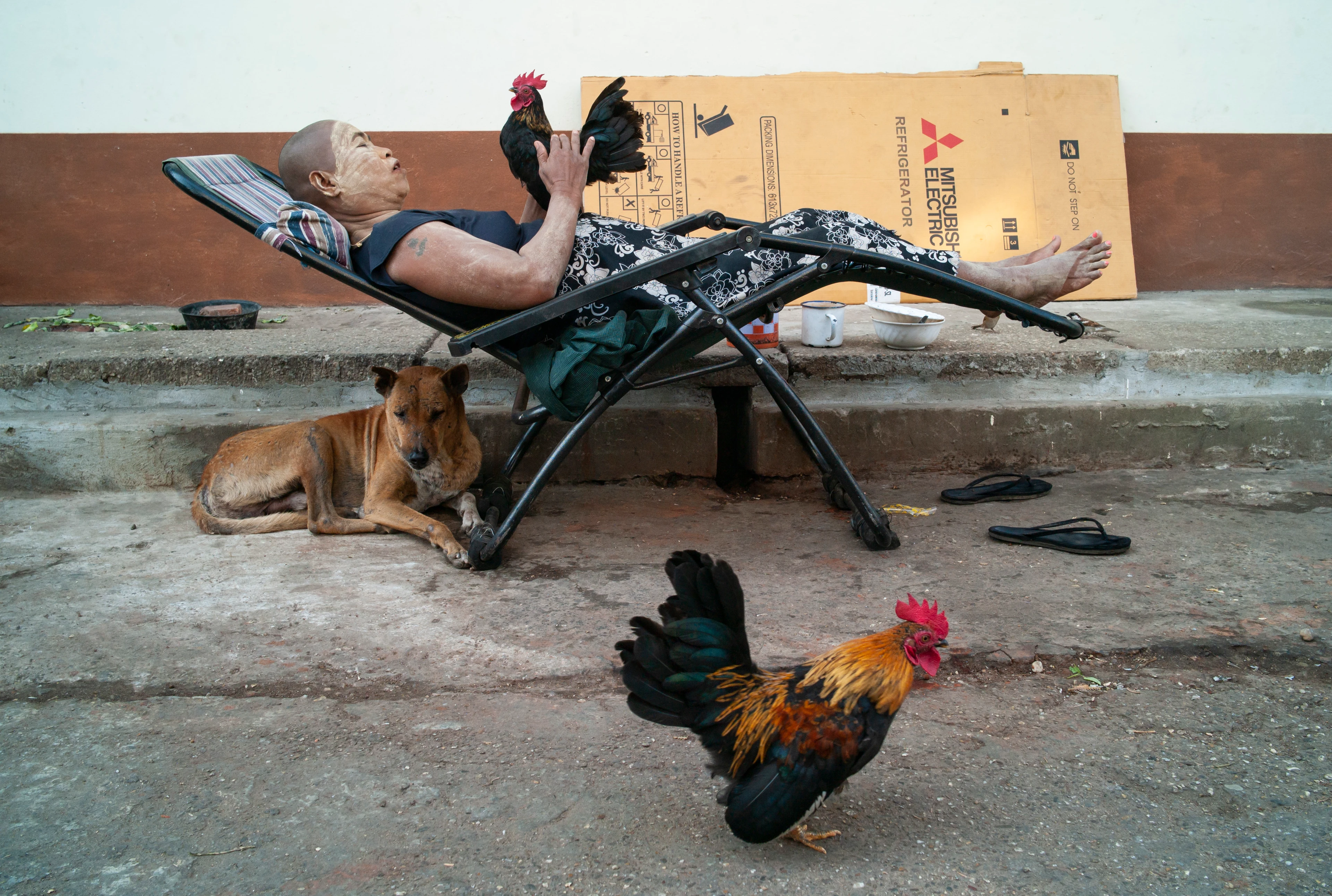 An Asian woman lies in a deckchair in a barren setting, her skin covered in white dust. She holds a rooster in her hands while a dog lies beneath her and another rooster runs across the floor.